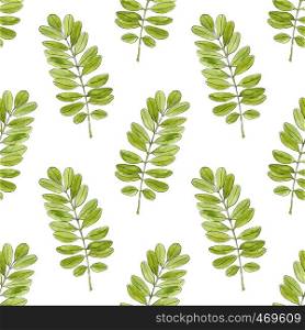 Watercolor seamless pattern with acacia leaves. Hand drawn vector background for packaging, textile and other design. Watercolor seamless pattern with acacia leaves. Hand drawn vector background for packaging, textile