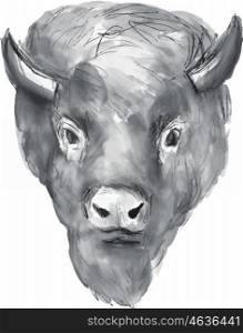 Watercolor style illustration of an american bison buffalo bull head facing front set on isolated white background.. American Bison Head Watercolor