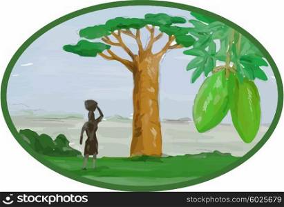 Watercolor style illustration of the Baobab tree and fruit that grows in low-lying areas in Africa and Australia and woman with basket on head set inside oval.. Baobab Tree and Fruit Watercolor