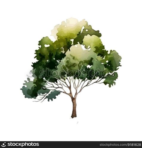 Watercolor tree hand draw vector nature painting