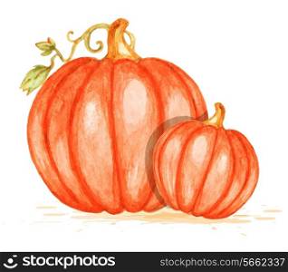 Watercolor vector orange pumpkins on a white background