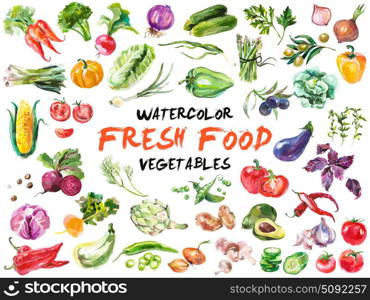 Watercolor vegetables isolated on white. Watercolor painted collection of vegetables. Hand drawn fresh food design elements isolated on white background.