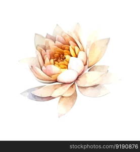 Watercolor white Lotus flower, vector illustration.Isolated on a white background.