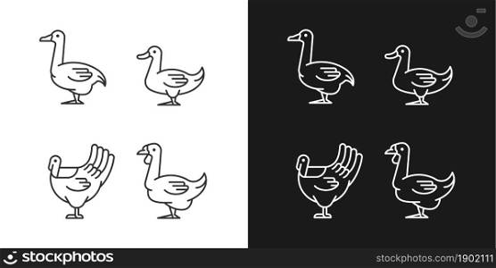 Waterfowl linear icons set for dark and light mode. Ducks and geese raising. Turkey growing. Livestock husbandry. Customizable thin line symbols. Isolated vector outline illustrations. Editable stroke. Waterfowl linear icons set for dark and light mode