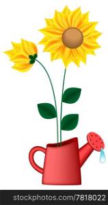 Watering can with sunflowers inside (EPS10)
