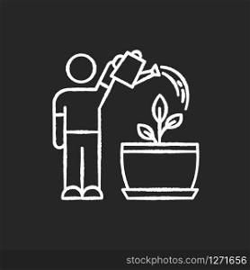 Watering sapling chalk white icon on black background. Plant growing process. Indoor gardening. Moisturizing, rehydrating potting soil. Moistening plants. Isolated vector chalkboard illustration