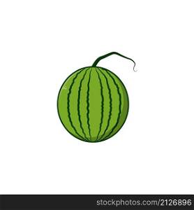 Watermelon fruit icon vector design templates on white background