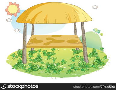 watermelon garden illustration