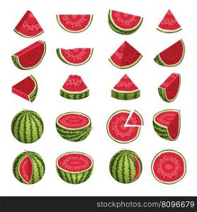 Watermelon. Healthy natural sliced fresh products in various pieces recent vector cartoon template. Illustration of vitamin fruit and fresh juicy. Watermelon. Healthy natural sliced fresh products in various pieces recent vector cartoon template