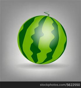 watermelon icon vecotr illustration