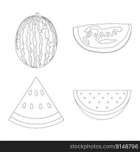 watermelon icon vector illustration design
