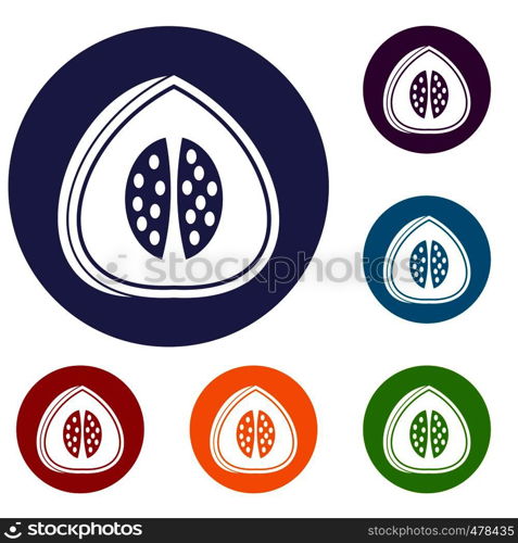 Watermelon icons set in flat circle red, blue and green color for web. Watermelon icons set