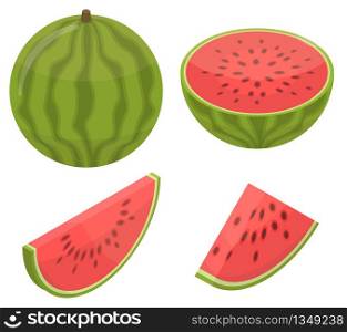 Watermelon icons set. Isometric set of watermelon vector icons for web design isolated on white background. Watermelon icons set, isometric style