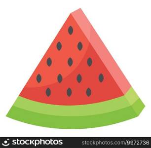 Watermelon, illustration, vector on white background