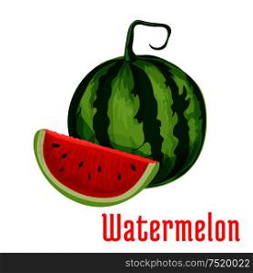 Watermelon. Isolated whole and half cut watermelons. Fruit and berry product emblem for product label, packaging sticker, grocery shop tag, farm store. Watermelon fruit vector icon