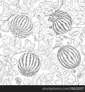 watermelon plant vector pattern on white background. watermelon vector pattern on white background