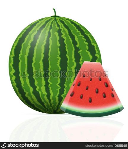 watermelon ripe juicy vector illustration isolated on white background