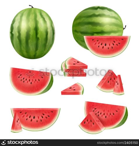 Watermelon slices. Healthy natural products big delicious berry collection decent vector pictures realistic set. Watermelon food, healthy fruit juicy illustration. Watermelon slices. Healthy natural products big delicious berry collection decent vector pictures realistic set
