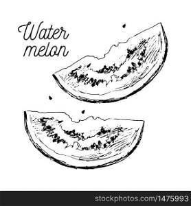 watermelon,vector hand drawing ink natural eco vegan. watermelon,vector hand drawing ink natural eco vegan food