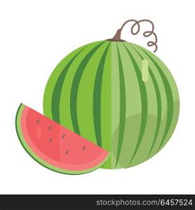 Watermelon vector in flat style design. Fruit illustration for conceptual banners, icons, mobile app pictogram, infographic, and logotype element. Isolated on white background. . Watermelon Vector Illustration In Flat Style Design.