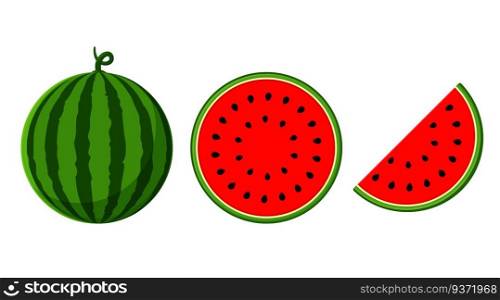 Watermelon vector. Watermelon with red flesh is halved isolate on a white background.