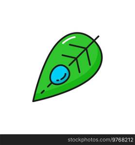 Weather forecast color outline icon of dew on leaf, vector line pictogram. Weather forecast or humidity drop icon for temperature app and web widget. Weather forecast color outline icon of dew on leaf