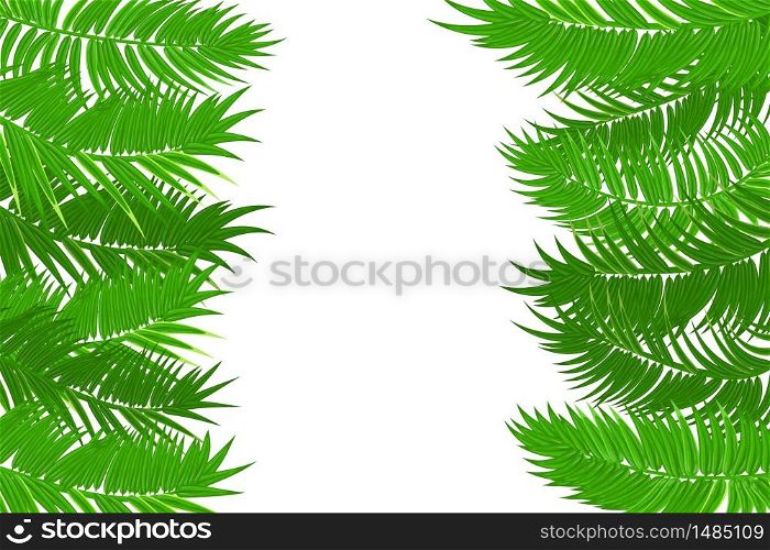 Web summer jungle frame banner. Green palm leaves template isolated white background. Vector abstract illustration. Realistic picture summer tropical Paradise mock up.. Summer jungle palm leaf frame