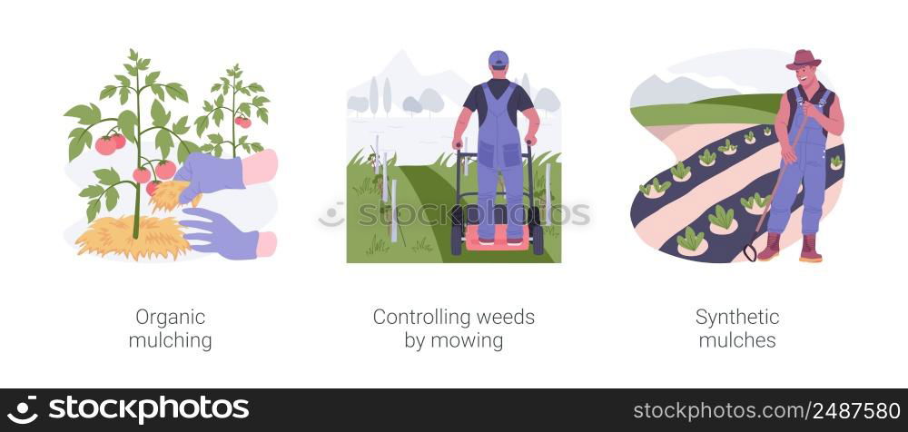 Weed management isolated cartoon vector illustrations set. Organic mulching, controlling weeds by mowing, synthetic mulches in organic farming industry, soil protection vector cartoon.. Weed management isolated cartoon vector illustrations set.