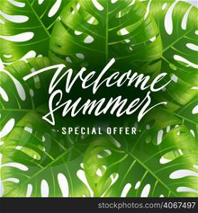 Welcome summer, special offer poster design with tropical exotic leaves on white background. Typed and calligraphic text can be used for labels, flyers, signs, banners