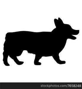 Welsh Corgi dog silhouette on a white background.. Welsh Corgi dog silhouette on a white background