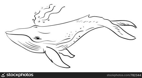 Whale drawing, illustration, vector on white background.
