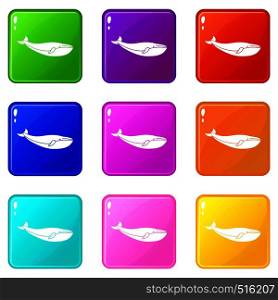 Whale icons of 9 color set isolated vector illustration. Whale set 9