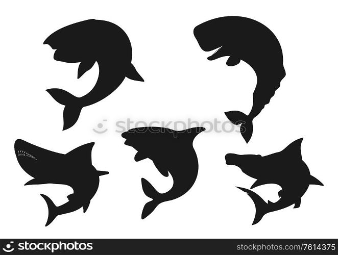 Whale, shark and orca black silhouettes of sea animals. Vector blue, killer and sperm whales, hammerhead shark and cachalot, marine mammal predators of underwater wildlife, zoo and aquarium design. Whale, shark and orca animal black silhouettes
