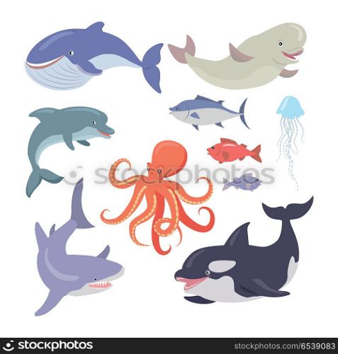 Whale, Shark, Octopus, Seals, Jellyfish, Salmon. Sea life creatures vector set. Whale, shark, octopus, seals, jellyfish, hake, salmon, dolphin. Sea cartoon inhabitants in flat style design. Sea life animals on white background. Vector illustration