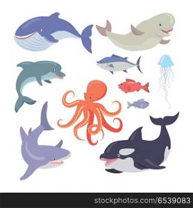 Whale, Shark, Octopus, Seals, Jellyfish, Salmon. Sea life creatures vector set. Whale, shark, octopus, seals, jellyfish, hake, salmon, dolphin. Sea cartoon inhabitants in flat style design. Sea life animals on white background. Vector illustration
