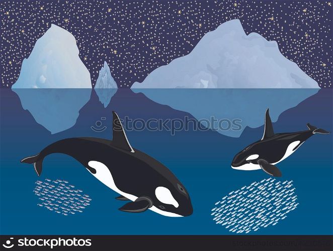 Whales among the icebergs
