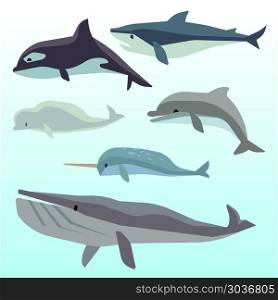 Whales and dolphins, marine underwater mammal, ocean animals flat vector set. Whales and dolphins, marine underwater mammal, ocean animals flat vector set. Sea wildlife and fish cartoon character illustration