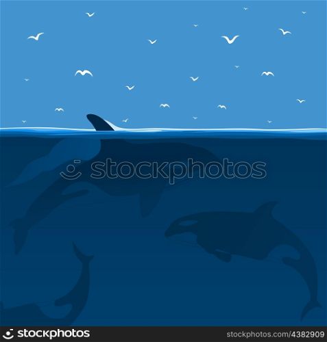 Whales hunt in the sea. A vector illustration
