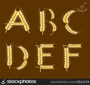 Wheat alphabet