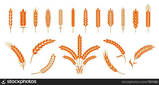 Wheat and rye ears. Barley rice grains and elements for beer logo or organic agricultural food. Vector illustration isolated heraldic shapes golden patterns rice and barley. Wheat and rye ears. Barley rice grains and elements for bear logo or organic agricultural food. Vector isolated heraldic shapes