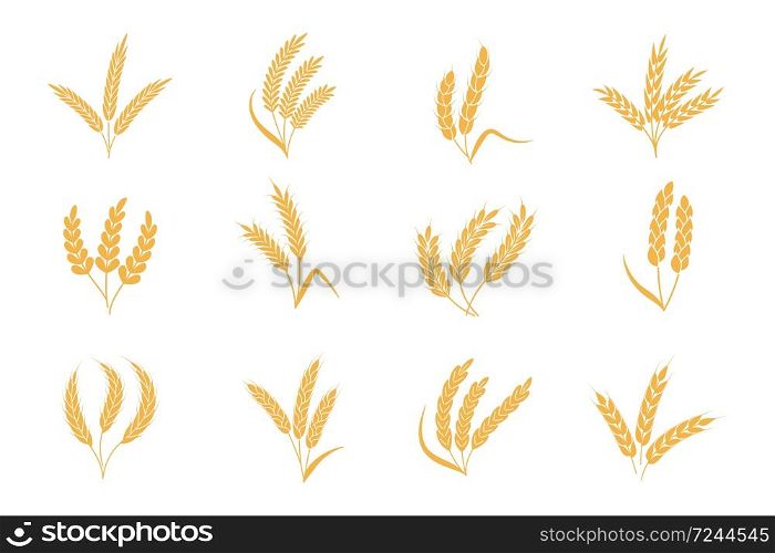 Wheat and rye ears. Harvest stalk grain spike icon. Gold elements for organic food logo, bread packaging or beer label. Isolated vector silhouette icons set. Wheat and rye ears. Harvest stalk grain spike icon. Elements for organic food logo, bread packaging or beer label. Isolated vector silhouette set
