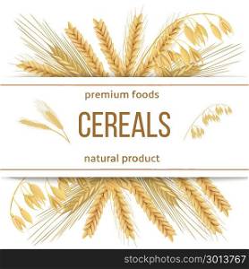Wheat, barley, oat and rye. 3d icon vector set. Four cereals grains and ears with text premium foods, natural product. Wheat, barley, oat and rye. 3d icon vector set. Four cereals grains and ears with text premium foods, natural product. Horizontal label. seeds and plants. For cooking, bakery, tags, labels, textile