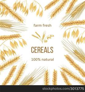 Wheat, barley, oat and rye. Four cereals grains and ears. Round label, text. Wheat, barley, oat and rye. icon vector card. Four cereals. grains and ears. Ornament with text 100 percent natural. seeds and spikes. For bakery, tags, textile, decoration, food design, banner, label