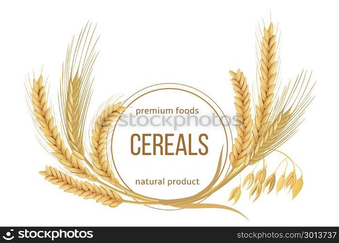 Wheat, barley, oat and rye set. Four cereals spikelets with ears, sheaf and text premium foods, natural product. Wheat, barley, oat and rye set. Four cereals spikelets with ears, sheaf and text premium foods, natural product. 3d icon vector. Round label. For design, cooking, bakery, tags, labels textile