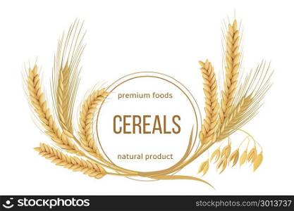 Wheat, barley, oat and rye set. Four cereals spikelets with ears, sheaf and text premium foods, natural product. Wheat, barley, oat and rye set. Four cereals spikelets with ears, sheaf and text premium foods, natural product. 3d icon vector. Round label. For design, cooking, bakery, tags, labels textile