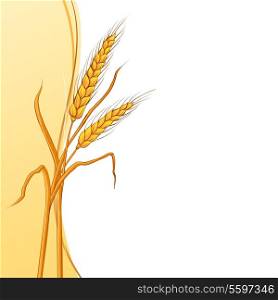Wheat ear card. Vector illustration.