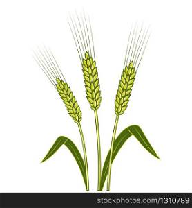 Wheat ears, Barley or Rye vector flat icon ,Shavuot consept. Ideal for bread packaging, beer labels etc. Vector illustration. Wheat ears, Barley or Rye vector flat icon ,Shavuot consept