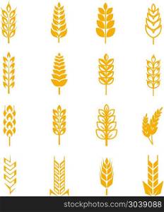 Wheat ears bread vector symbols. Wheat ears bread vector symbols. Harvest grain and wheat, cereal rye illustration