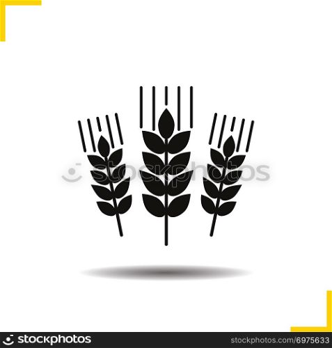 Wheat ears icon. Drop shadow barley silhouette symbol. Spikes of rye. Negative space. Vector isolated illustration. Wheat ears icon