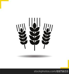 Wheat ears icon. Drop shadow barley silhouette symbol. Spikes of rye. Negative space. Vector isolated illustration. Wheat ears icon
